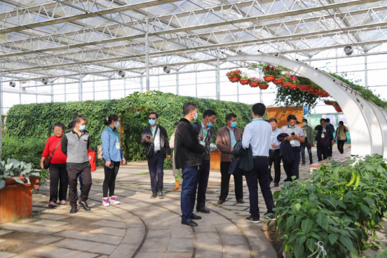 和县第十二届蔬菜博览会暨第七届农业嘉年华开幕