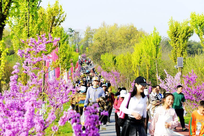 湖北老河口:1天,4.5万人次,共赴一场春日盛宴